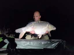 Competities HSV Alfheim